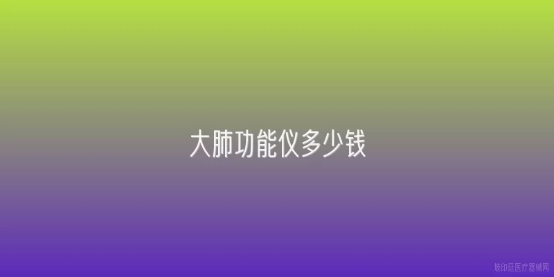 大肺功能仪多少钱