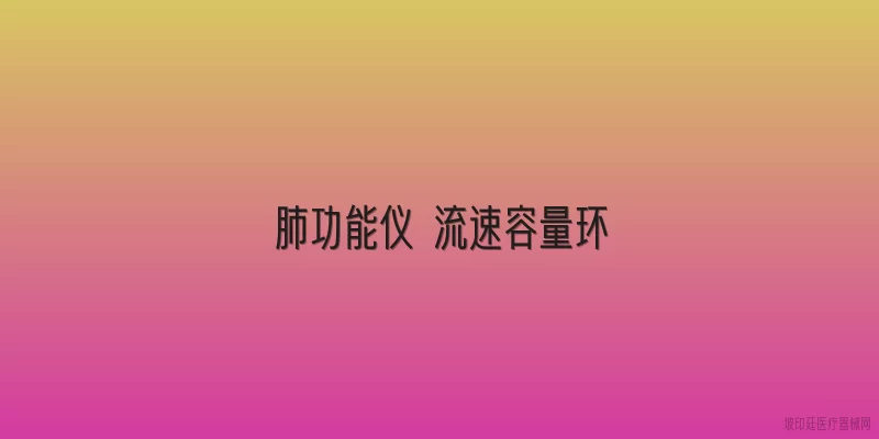 肺功能仪 流速容量环