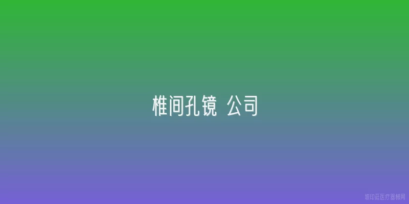 椎间孔镜 公司