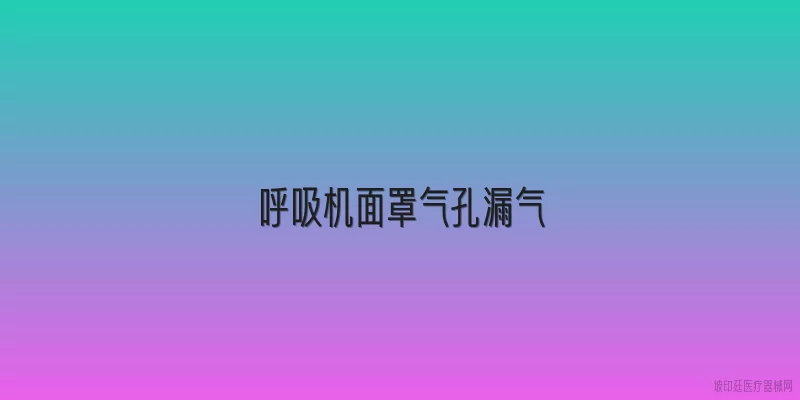 呼吸机面罩气孔漏气