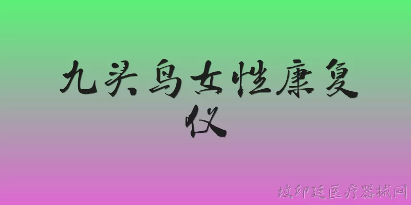 九头鸟女性康复仪:九头鸟女性康复仪是什么？它的主要功能有哪些？