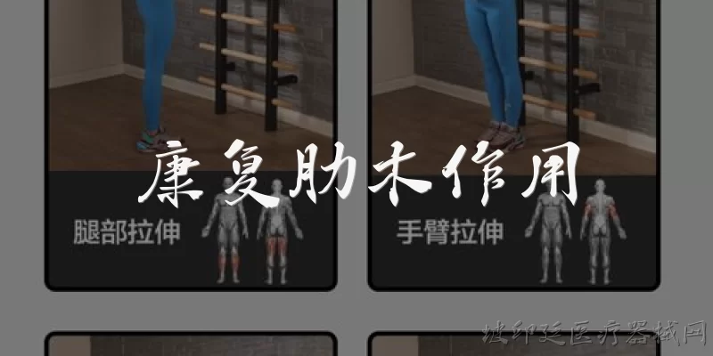 康复肋木作用:2026年康复肋木在骨科术后康复中具体有哪些新的作用？ - 2026最新康复问答知识盘点大全