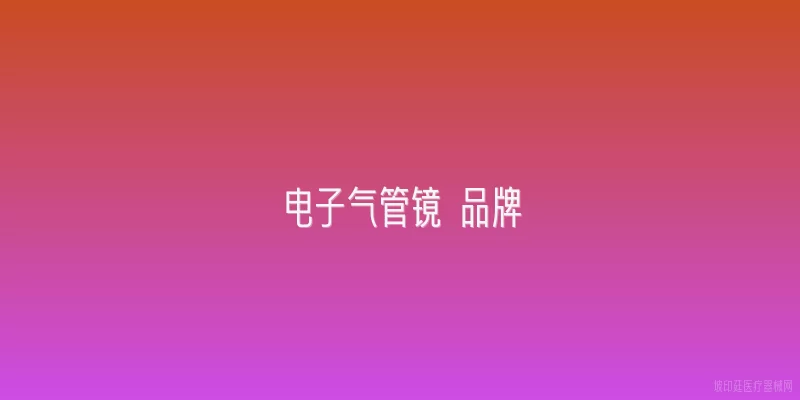 电子气管镜 品牌