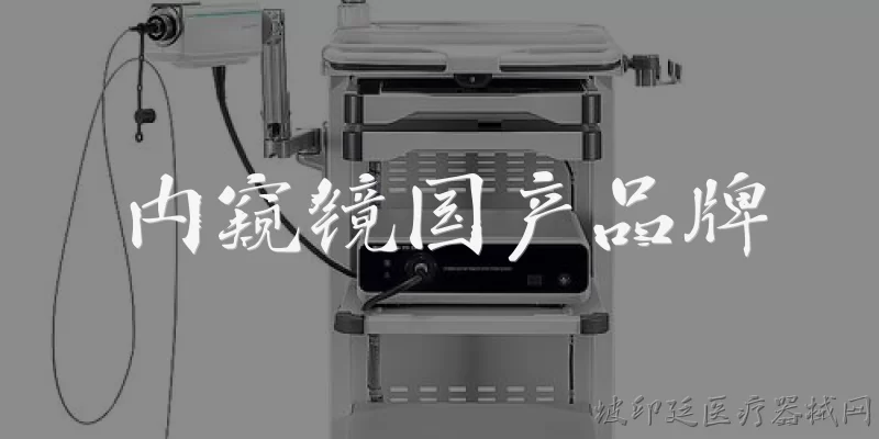 内窥镜国产品牌:2026年内窥镜国产品牌有哪些值得关注的技术突破？ - 2026最新品牌问答知识盘点大全