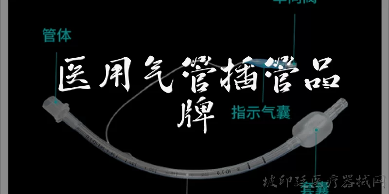 医用气管插管品牌:2026年医用气管插管品牌排名前三的是哪些？