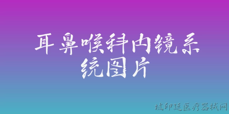 耳鼻喉科内镜系统图片:耳鼻喉科内镜系统图片通常包含哪些主要设备？ - 2026最新系统问答知识盘点大全