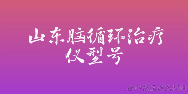 山东脑循环治疗仪型号:山东脑循环治疗仪有哪些常见型号？