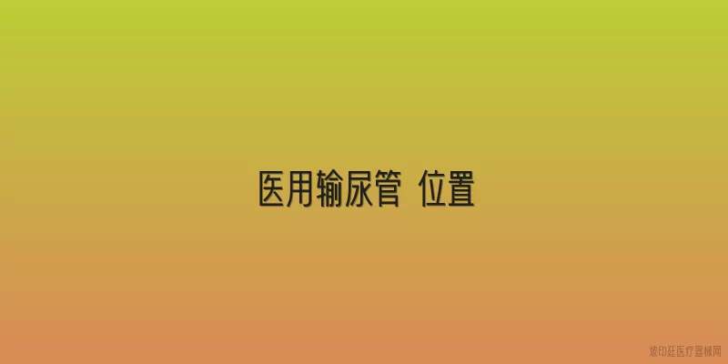 医用输尿管 位置