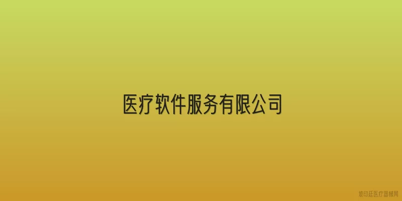 医疗软件服务有限公司