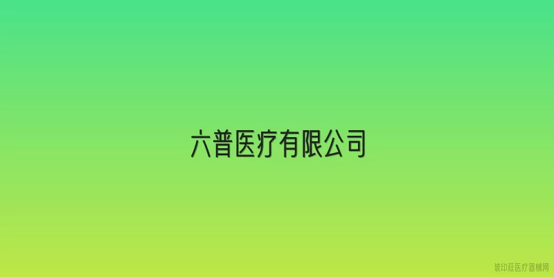 六普医疗有限公司