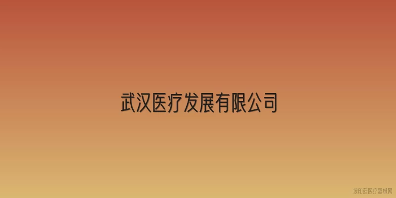 武汉医疗发展有限公司
