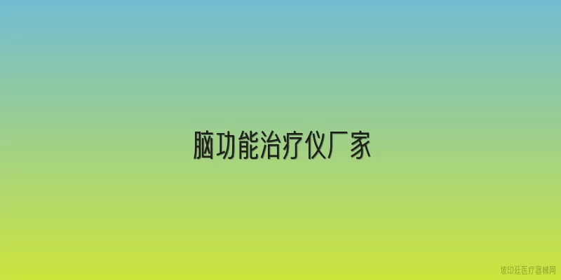 脑功能治疗仪厂家