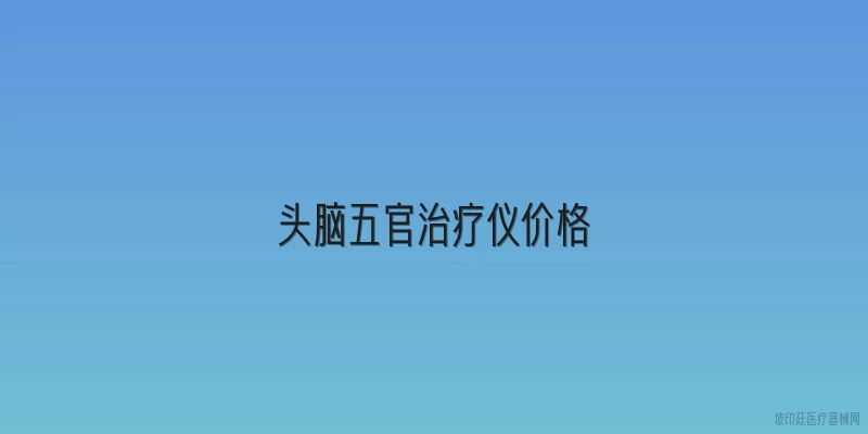 头脑五官治疗仪价格