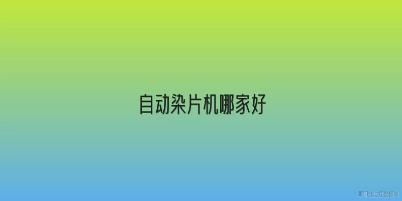 自动染片机哪家好
